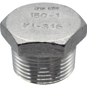25NB (1) T316 Hex Head Plug