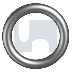 Round Ring Gr304 M8x75