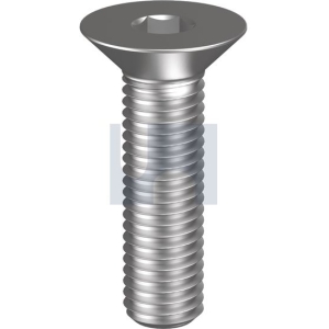 Csk Socket Screw Gr316 M3x10