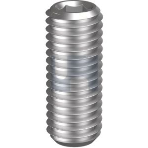 Hexagon Socket Screw Gr304 M6x10